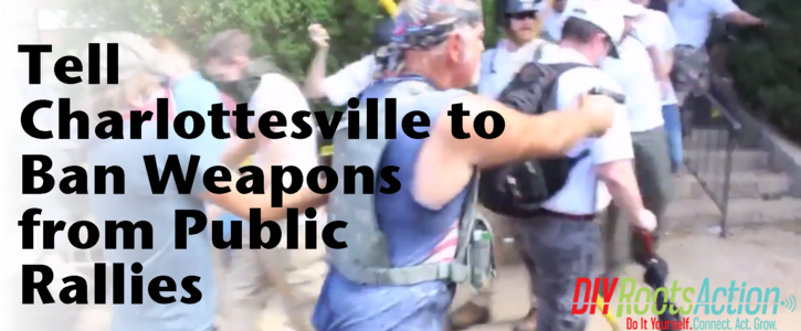 Tell Charlottesville to Ban Weapons from Public Rallies