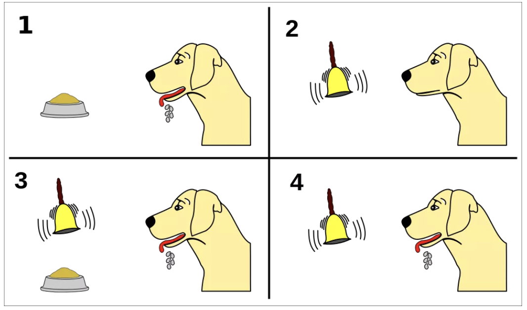 Pavlov's dog