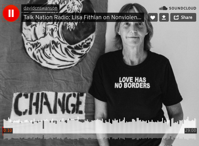 Lisa Fithian on Talk Nation Radio