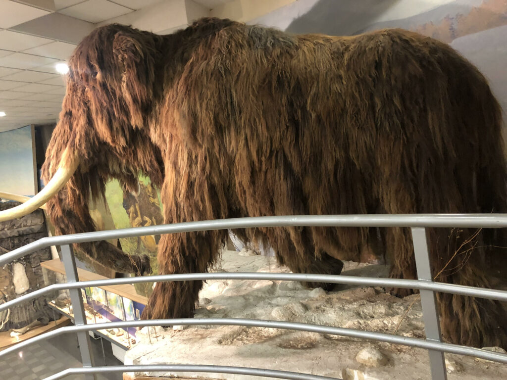 Woolly Mammoths Preserved in PermaICE.