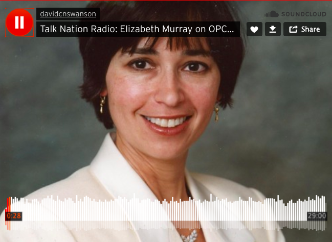 Elizabeth Murray on Talk Nation Radio