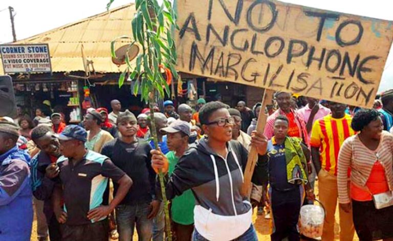protest in Cameroon