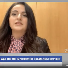 Video des Webinars: Der Russland-Ukraine-Krieg und die Notwendigkeit, sich für den Frieden zu organisieren