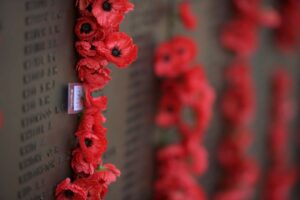 Papavoj vicas la murojn de la Australian War Memorial Roll of Honor, Kanbero (Tracey Nearmy/Getty Images)