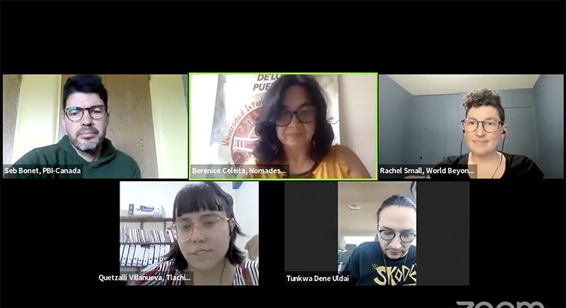 faces in webinar