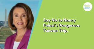 Nancy Pelosi Could Get Us All Killed