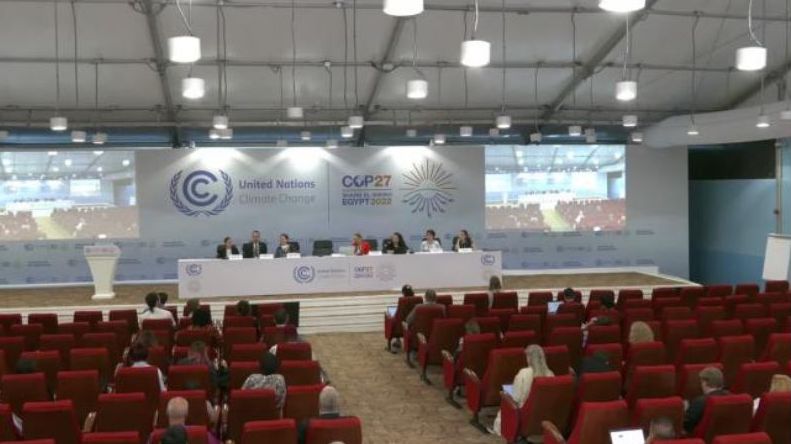 COP 27 conference