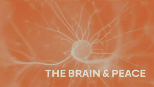 Video: The Brain and Peace