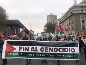 Manifestación Por El Fin Del Genocidio En Santiago de Chile