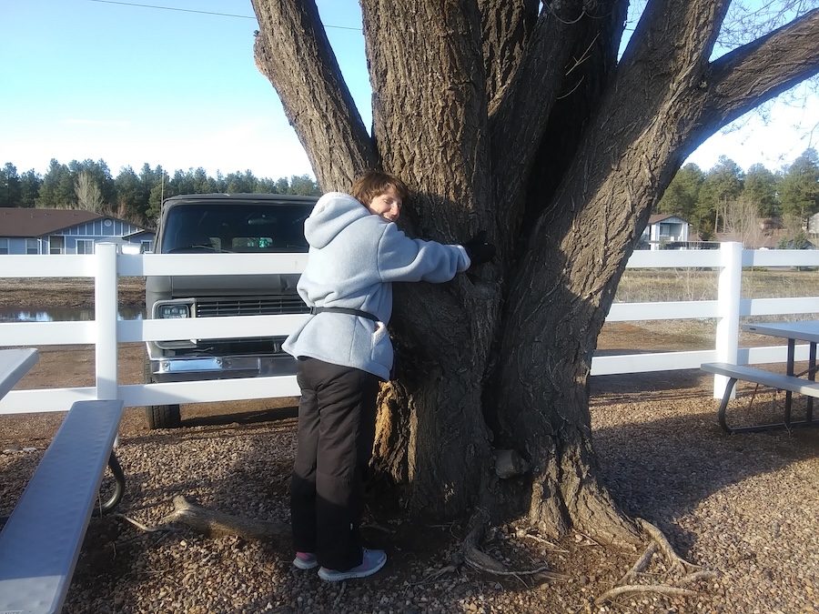 Vanessa Fox hugging a tree