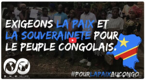 Webinaire: Le Prix à Payer Pour la Paix en RDC N&rsquo;est il Pas Trop Lourd?