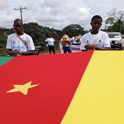 Cameroon IPD